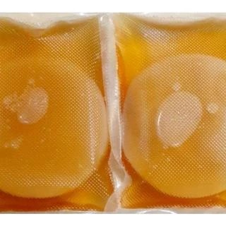 

Bibit Scoby Kombucha Premium plus Starter (Haha Store Sby)