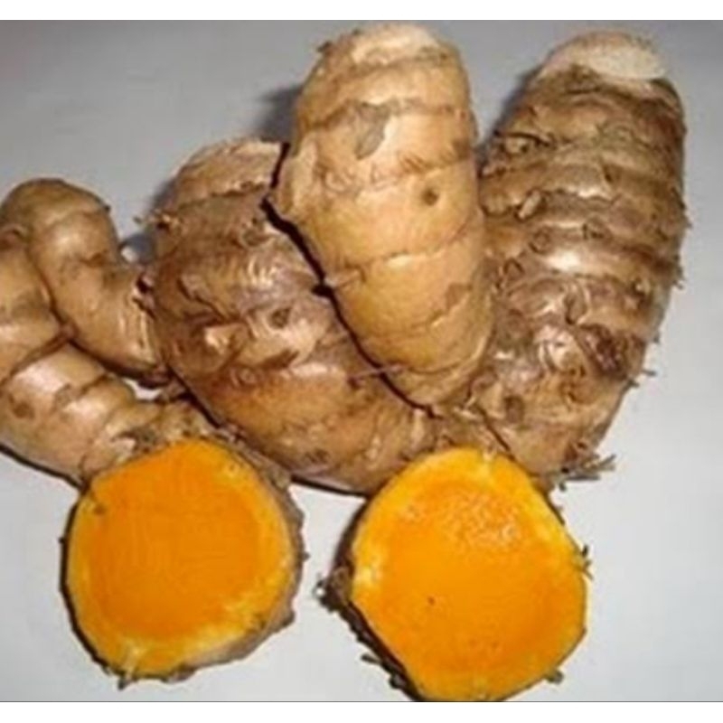 

TEMULAWAK / LAMPUYANG 1 KG 6.000