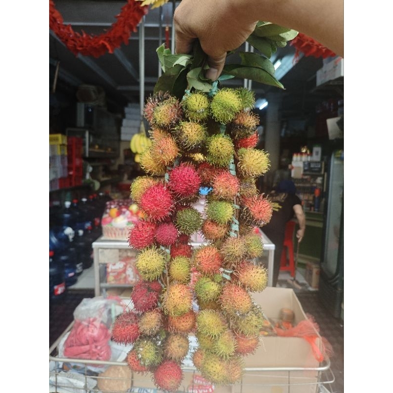 

rambutan rapiah per pasang 1.6 kilo gram