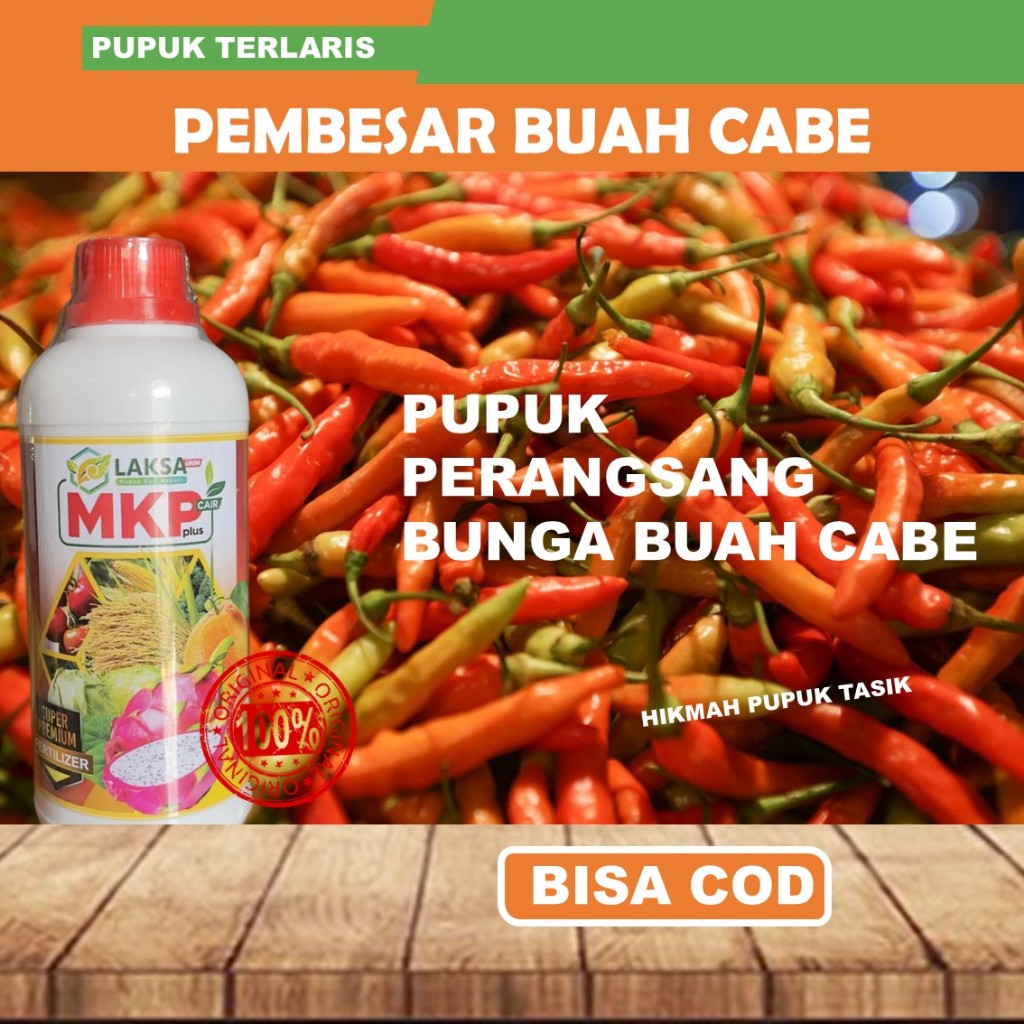 Obat Perangsang Cabe - Obat Penyubur Cabe MKP LAKSA Pupuk Pelebat Cabe Merah bat Semprot Perangsang 