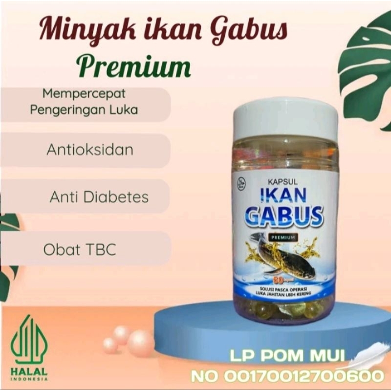 Kapsul Minyak Ikan Gabus Premium obat Pasca cesar ampuh - Bantu Cepat Pulihkan Luka Bekas Oprasi Ces