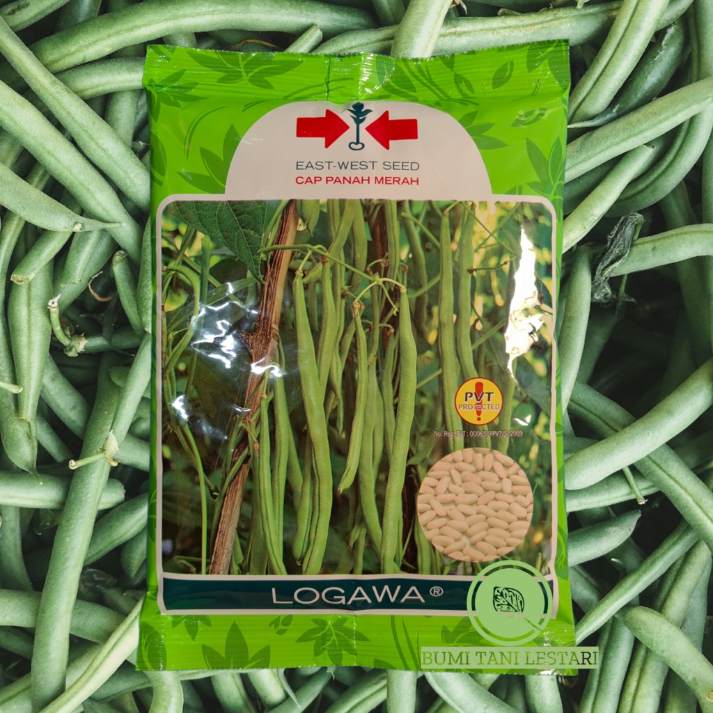 Benih Buncis LOGAWA 500gram | Benih Buncis Unggul LOGAWA CAP PANAH MERAH