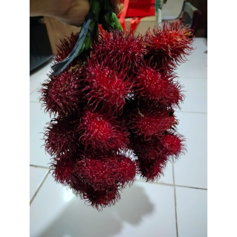 

rambutan lokal /1 gandeng