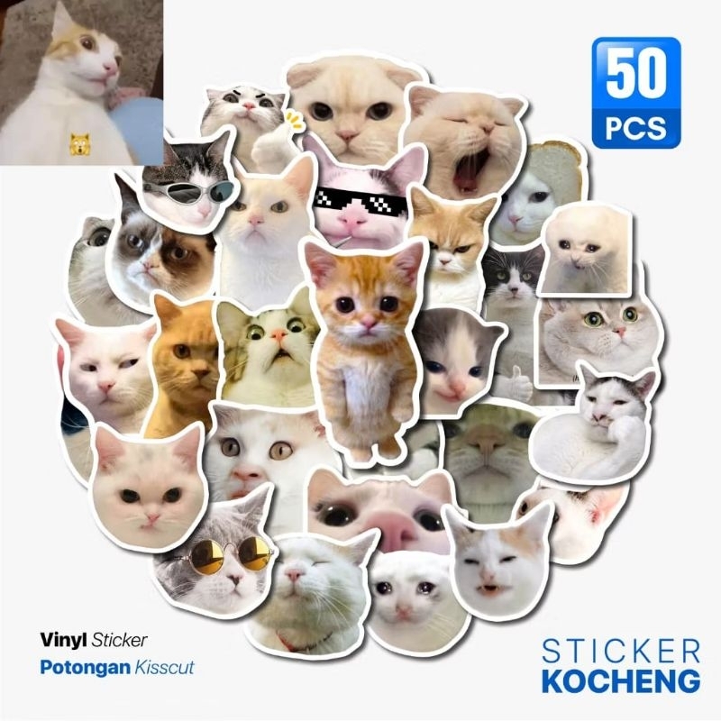 

Stiker Pack Meme Kucing Aesthetic Paper Vinyl Waterproof