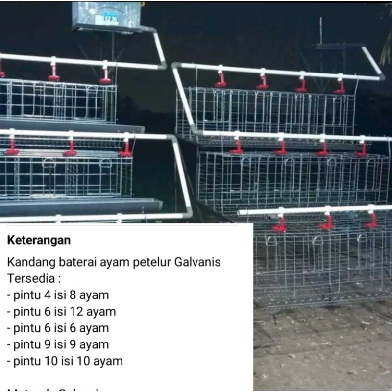 kandang ayam galvanis untuk skala rumahan persatu set isi 8ekor ayan