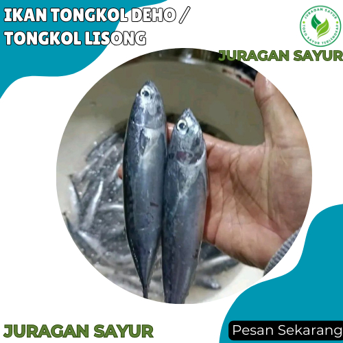 

Ikan Tongkol Deho / Tongkol Lisong - Ikan Tongkol 1 kg - Ikan Tongkol Segar - Juragan Sayur