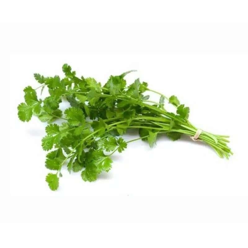 

Daun Ketumbar Hidroponik (Coriander) - 100gr