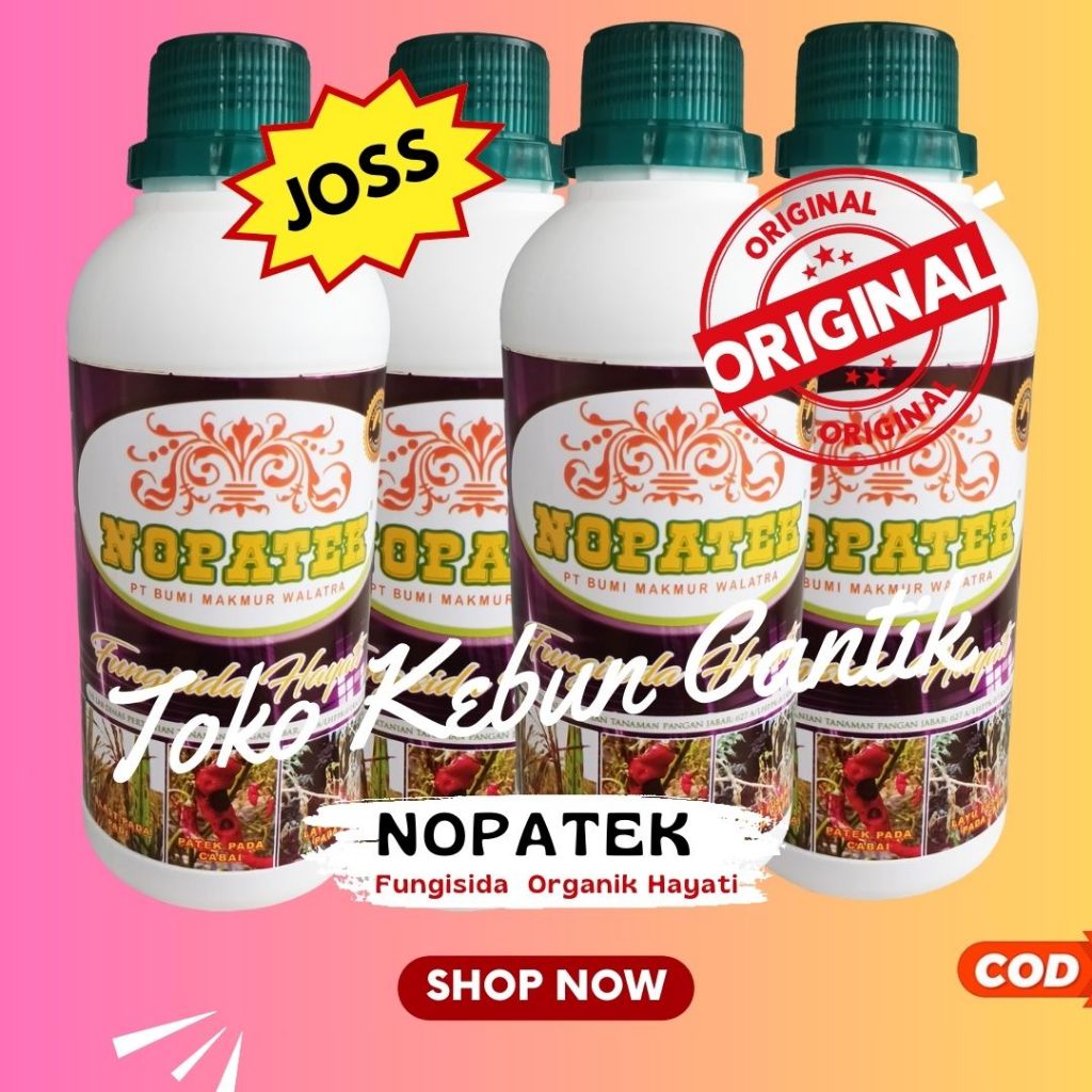 Obat Busuk Buah NOPATEK Fungisida Hayati Racun Cabe Patek dan Rontok Mangga Durian Anggur Kelengkeng