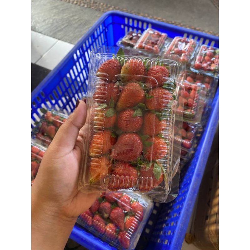 

STRAWBERRY FRESH KEMASAN Sedang