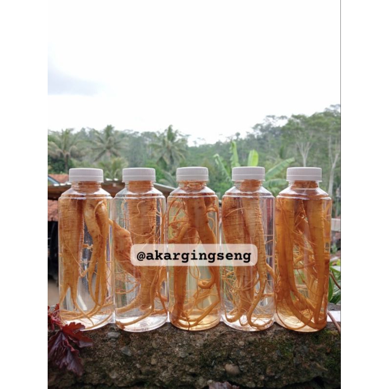 

ginseng rendaman ukuran 250ml