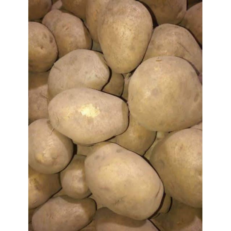 

INSTAN - KENTANG DIENG SUPER KENTANG KUNING 500GRAM