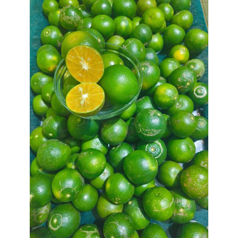 

jeruk BL jeruk peras segar varian