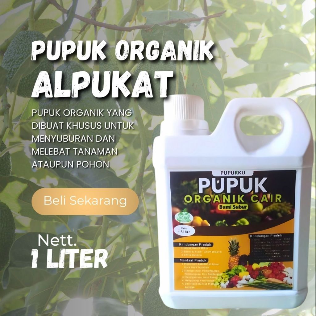 Pupuk Alpukat Untuk Masa Pertumbuhan Cepat Berbuah Lebat Booster Buah Alpukat Penyubur Pohon