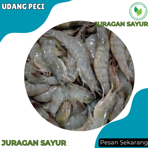 

Udang Segar Peci 500 gram - Udang Peci 1kg - Udang Segar Besar Peci - Juragan Sayur