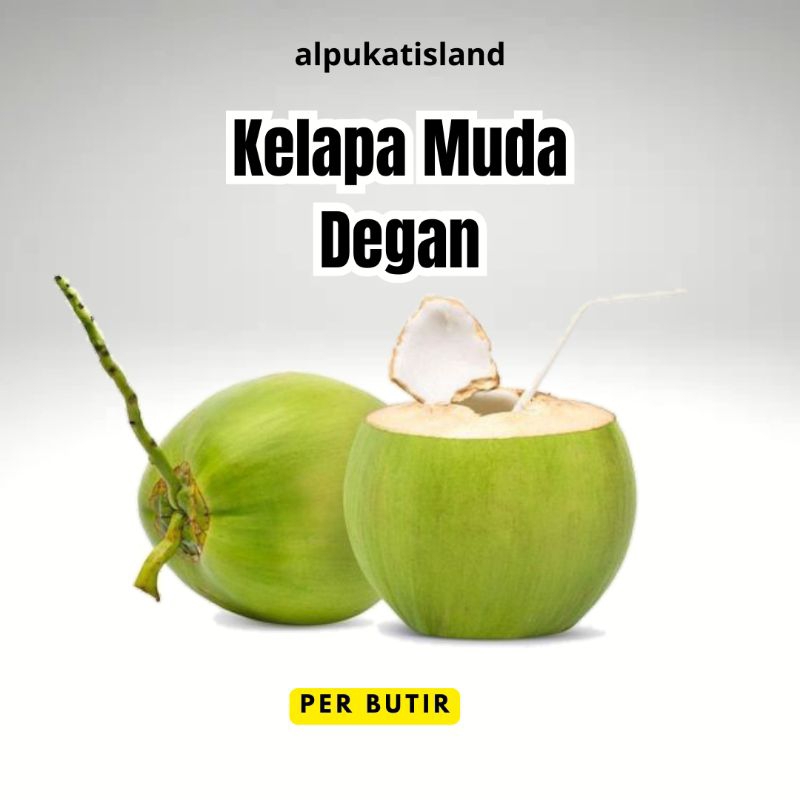 

kelapa muda degan