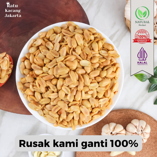 

Kacang Tari Bali Kapri Jumbo - Kacang Tari Bali Grosiran - 500 gram - 1 kg - Ratu Kacang Jakarta