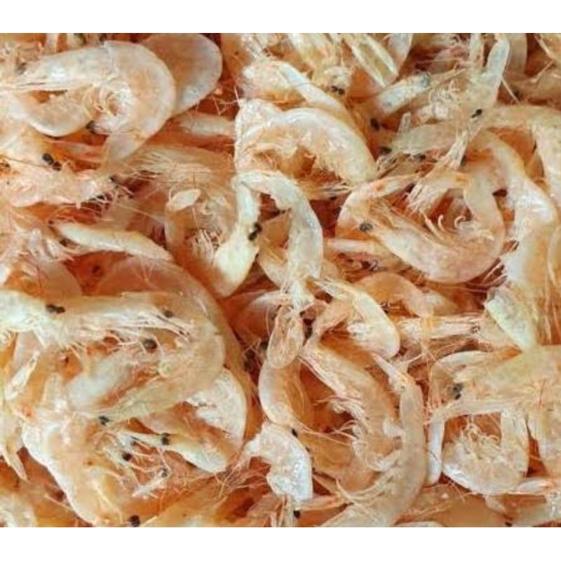 

Udang rebon