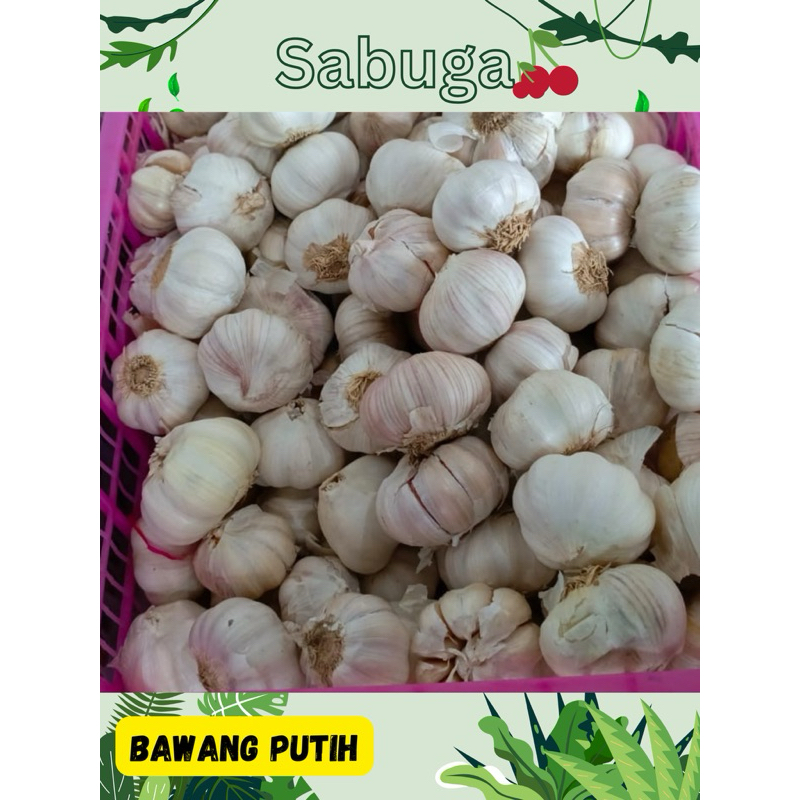 

BAWANG PUTIH Per Gram