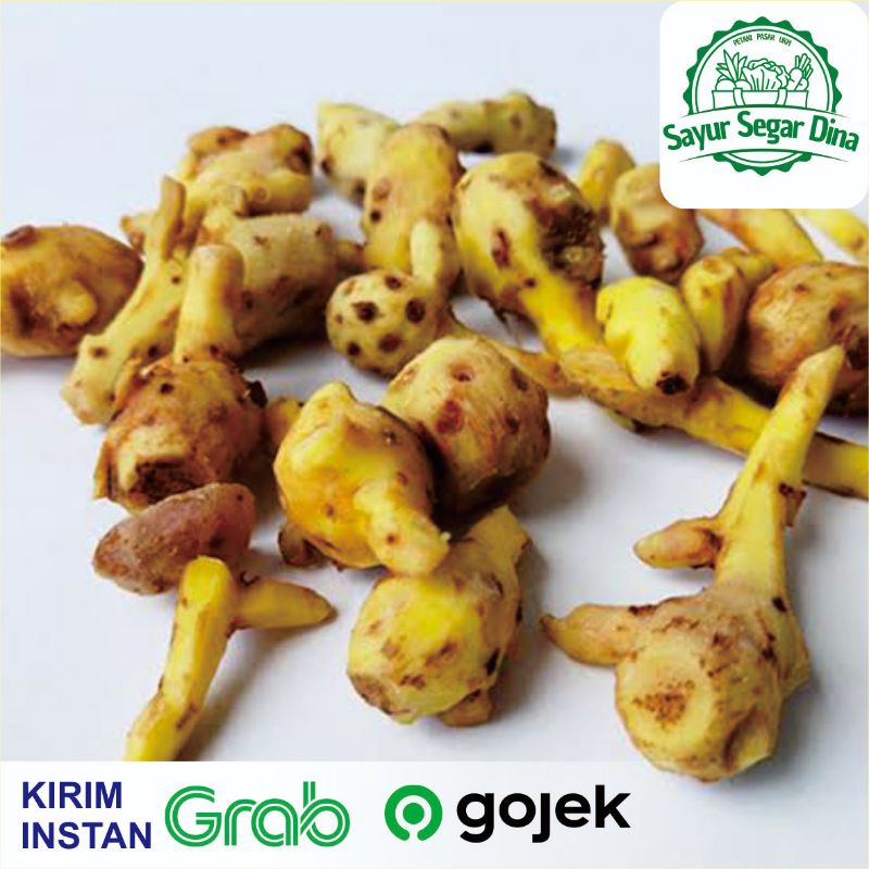

Temu Kunci Rempah - 100 gr