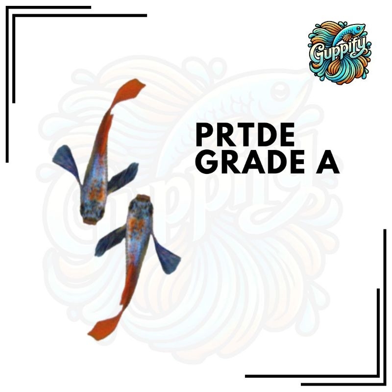 PRTDE Grade A
