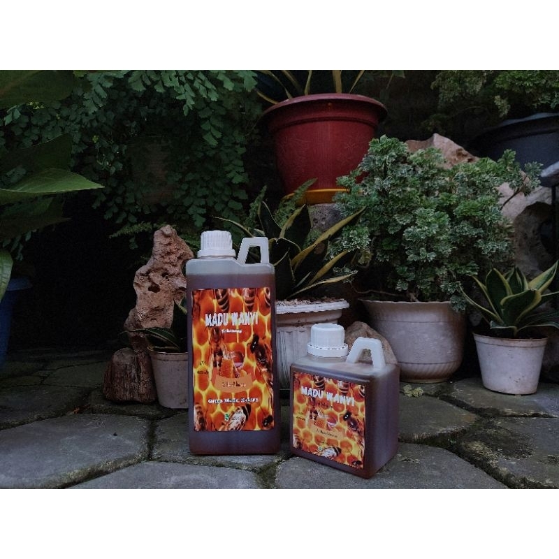 

Madu Hutan Asli Kalimantan 1000gr | Asli tanpa proses