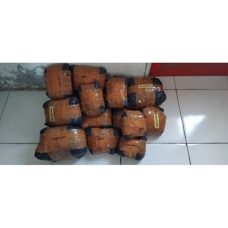 

LINK DUS PACKING BRA