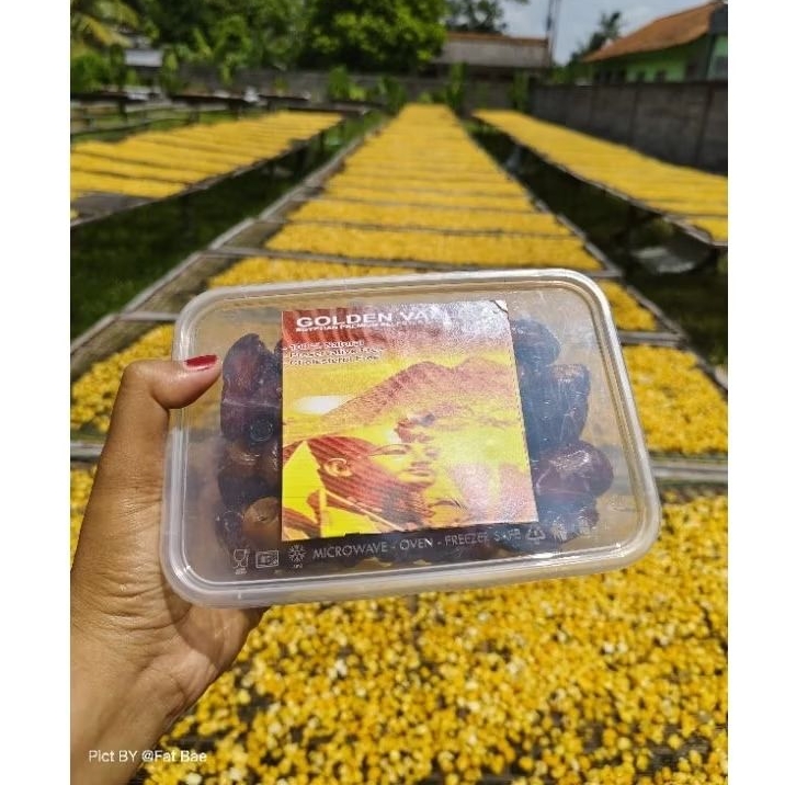 

KURMA GOLDEN VALLEY PRODUKSI BARU NOV 2024