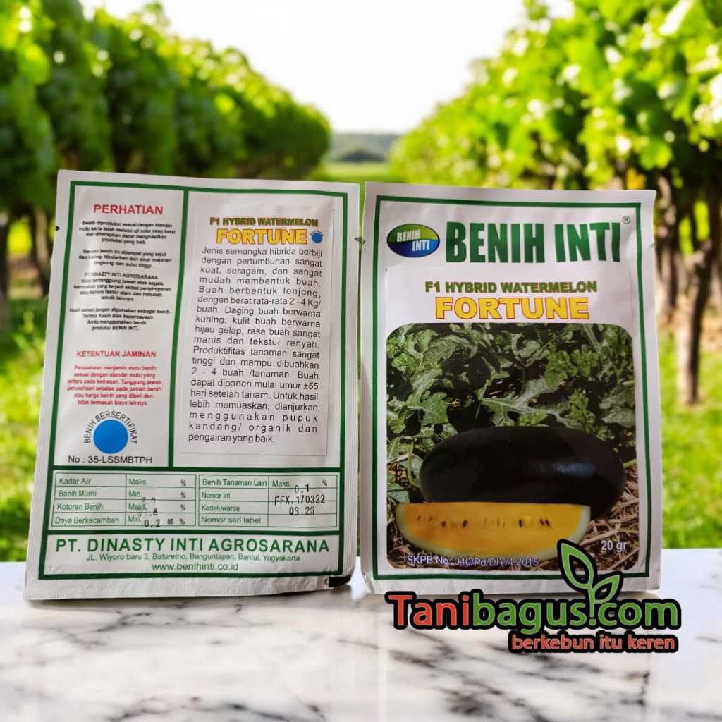 BENIH SEMANGKA KUNING F1 HYBRID FORTUNE 20 GRAM - BENIH INTI