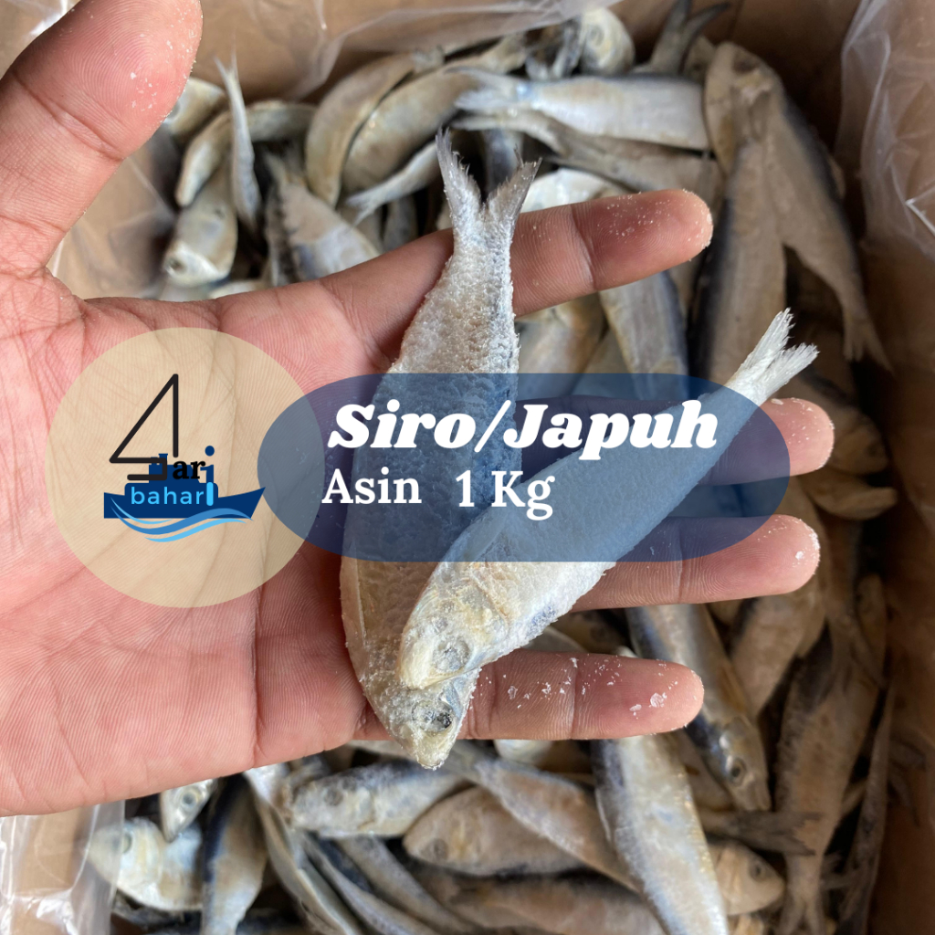 

Ikan Asin Japuh Siro Size Standar 1 Kg