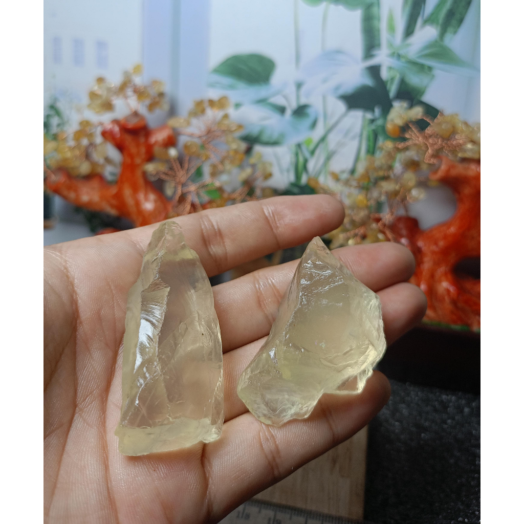 Rough Citrine Gemmy (4)