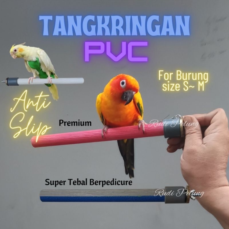 Tangkringan burung parrot plastik sun conure cockatiel nuri irn bhc ysc wbc