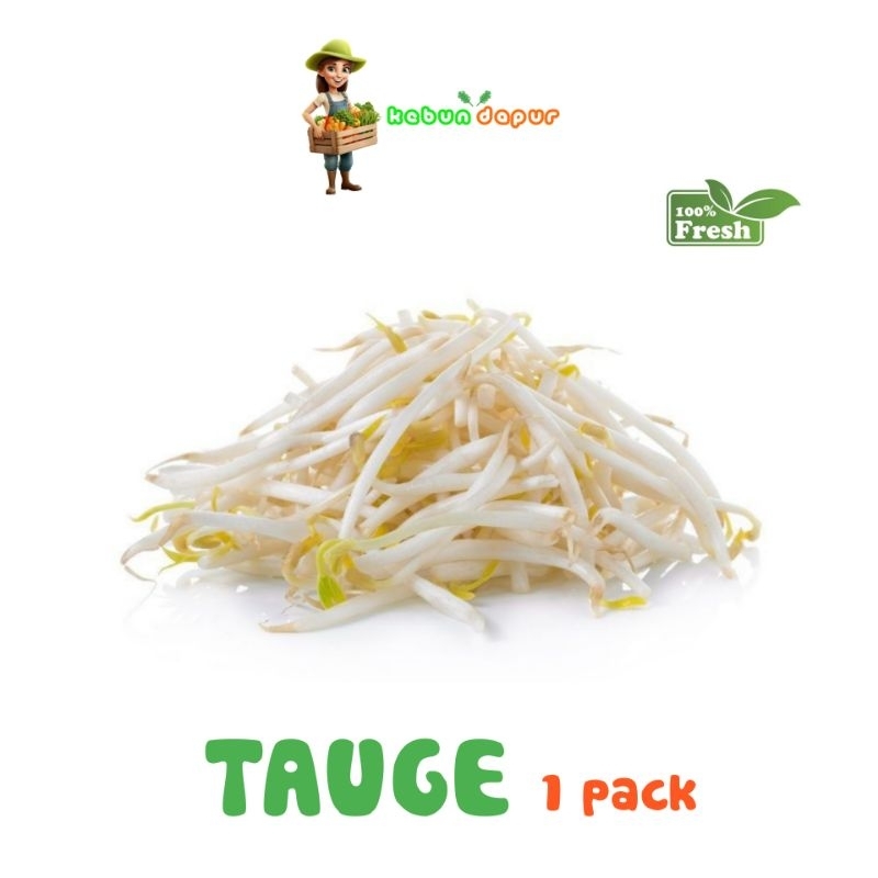 

TAUGE KECAMBAH FRESH Harga per 1 pack