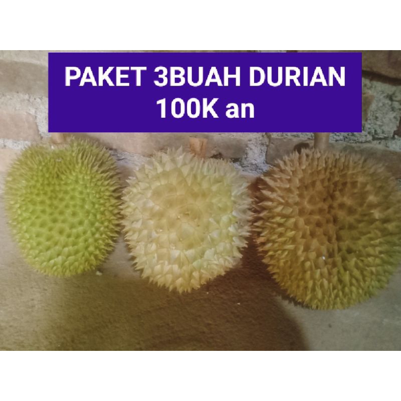 

PAKET Durian 3 Buah 100 ribuan, Durian Lokal Matang Pohon Manis Legit, Harum, segar