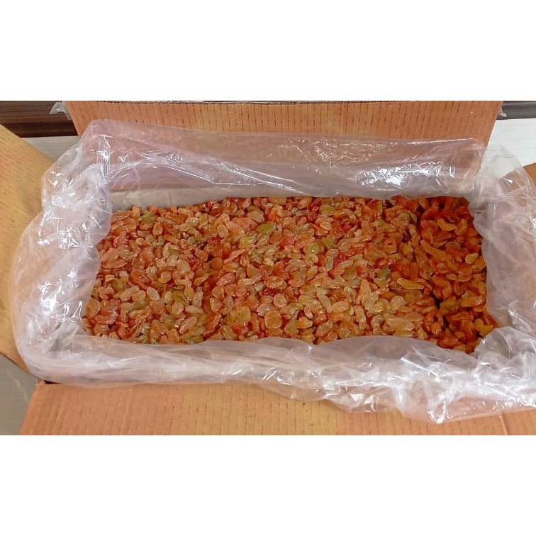 

Buah anggur kering Kismis Golden Raisin Oleh oleh haji kismis