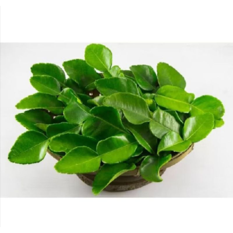 

daun jeruk 250g murah