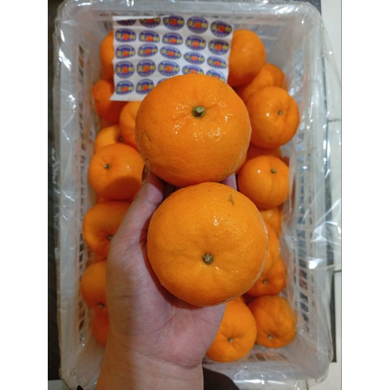 

jeruk wogan keranjang promo berat 1kg