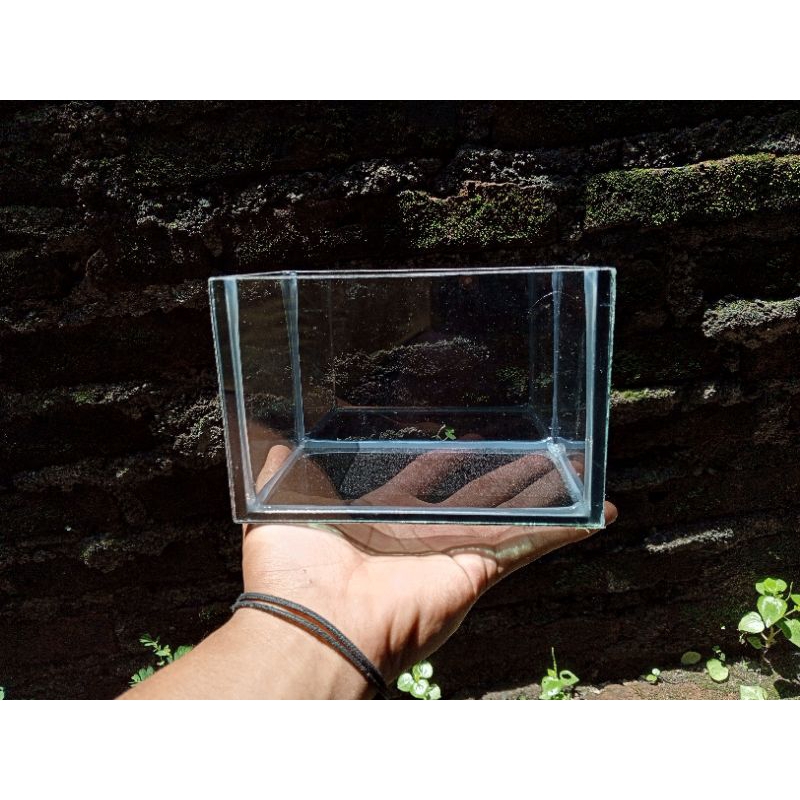 Soliter 15*10*10cm / soliter kaca /soliter guppy