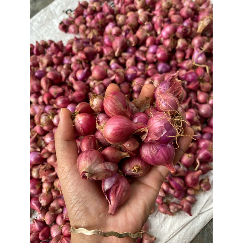 

bawang merah 1kg sedang campur kecil