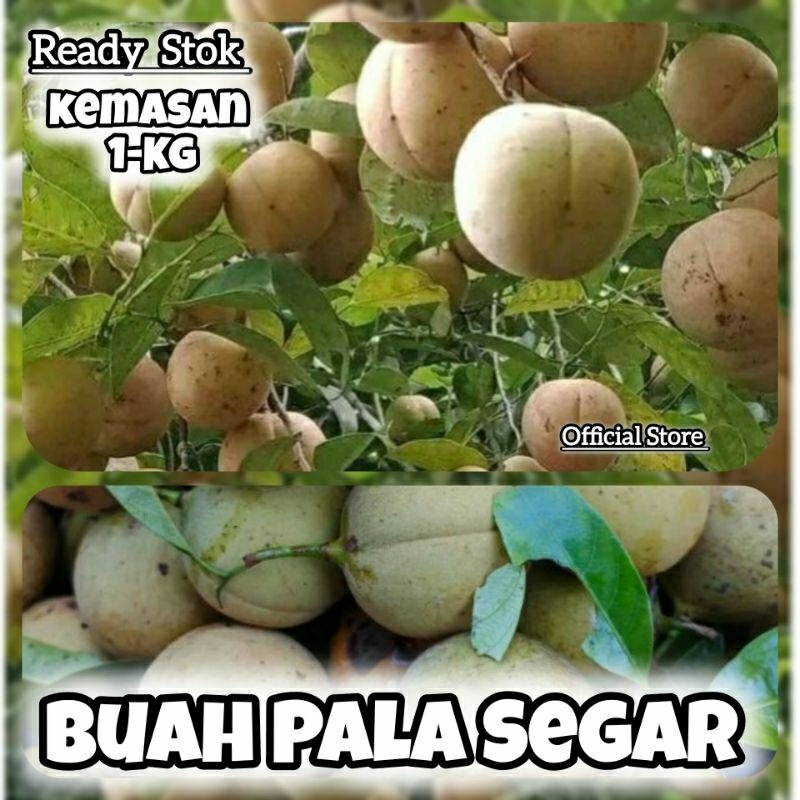 

Buah Pala Segar / 1-Kg Buah Pala Segar / Buah Pal