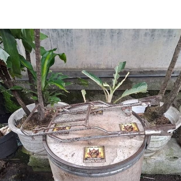 rak jepit belakang c50 c70 c90 pispot ORIGINAL rak keranjang honda c70 pispot behel c50 c70 c90