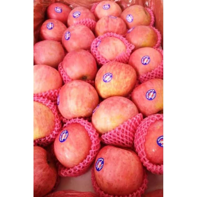 

Apel Fuji manis fresh 1kg