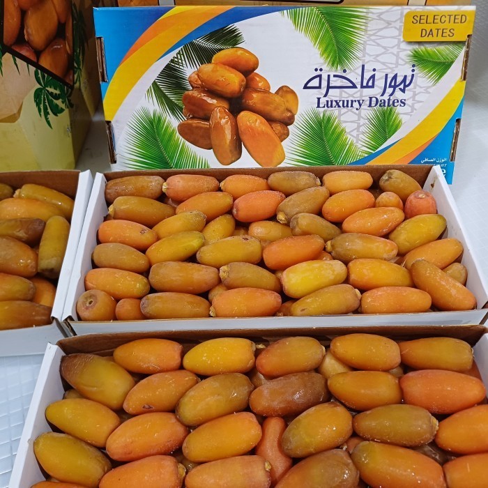 

Kurma Muda Ruthab Libya 1Kg Fresh Ruthob Luxury Dates / kurma Basah