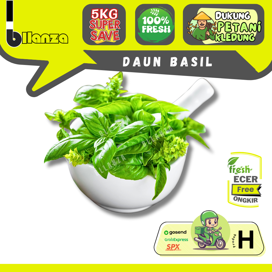 

Bllanza | Holy Basil — Sahabat Makan Sayur ECER (H)