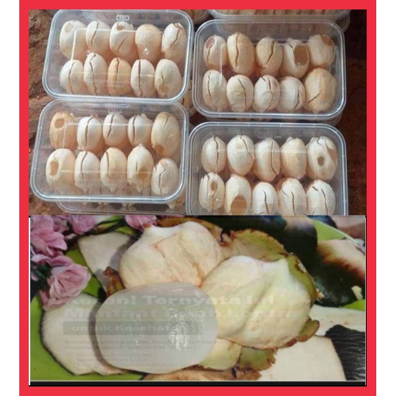 

Buah Siwalan kupas isi 15 biji khusus INSTAN