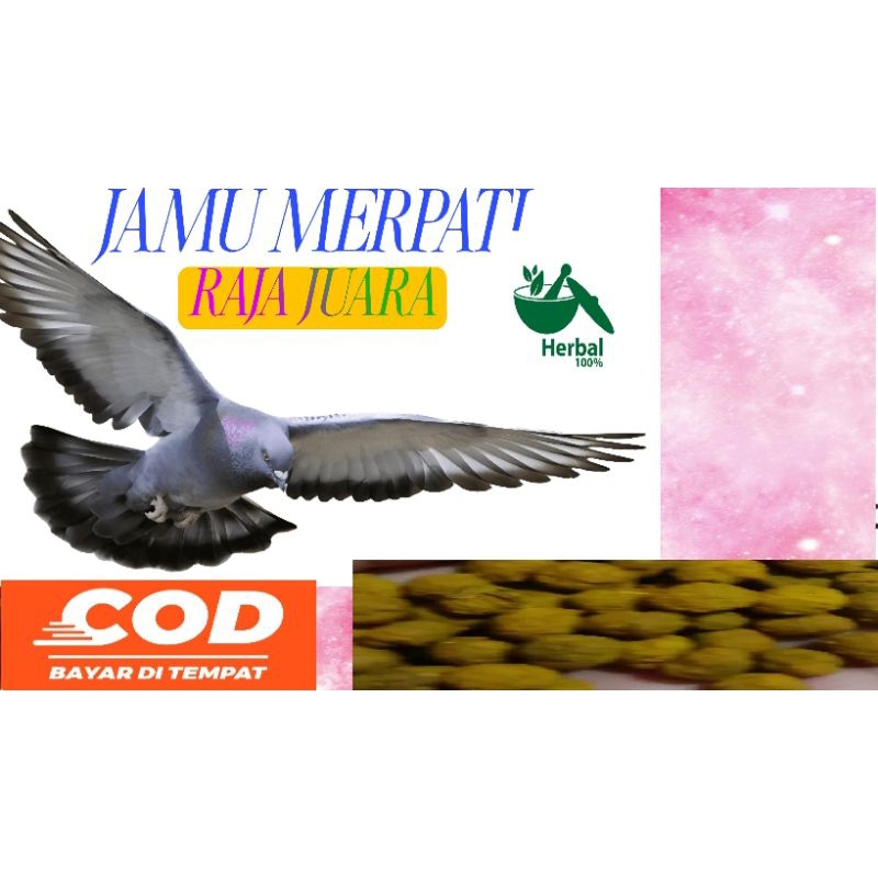 JAMU MERPATI RAJA JUARA 100 BUTIRpaling ampuh dalam 2 hari pil sarang walet ginseng teki klenceng ve