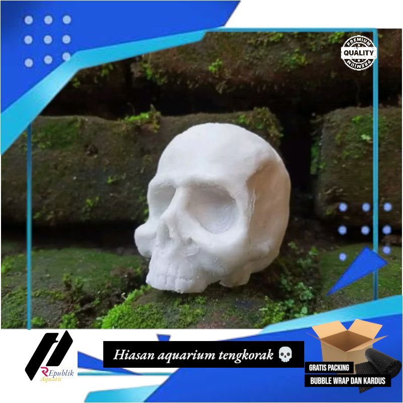 Hiasan aquarium tengkorak / hiasan aquarium /tengkorak / hiasan / dekorasi aquarium
