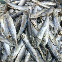 

Ikan Layang Rebus (ikan Asin)