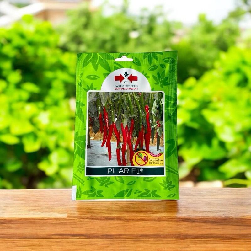 BENIH CABE MERAH PANJANG PILAR F1,BIBIT CA MERAH PANJANG,CAP PANAH MERAH