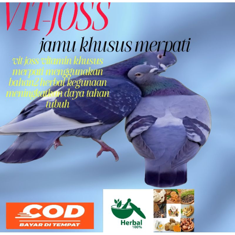VIT-JOSS JAMU HERBAL MERPATI 120 BUTIR paling ampuh dalam 2 hari pil sarang walet ginseng teki klenc