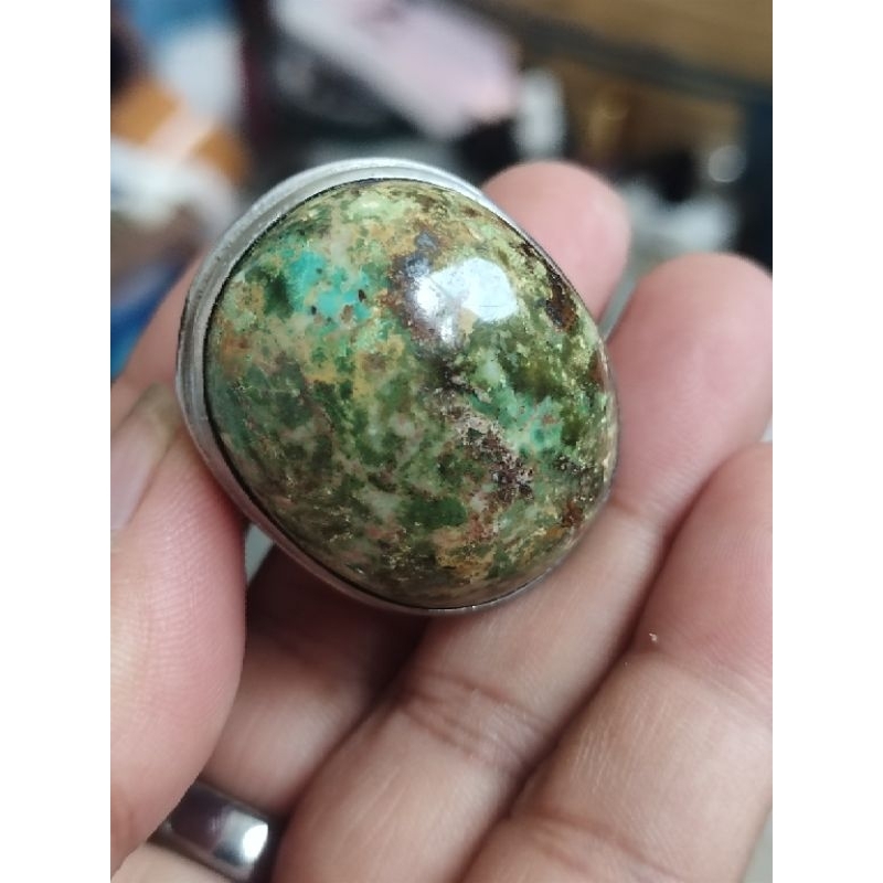 pirus Persia jumbo mumbul bulat ajib